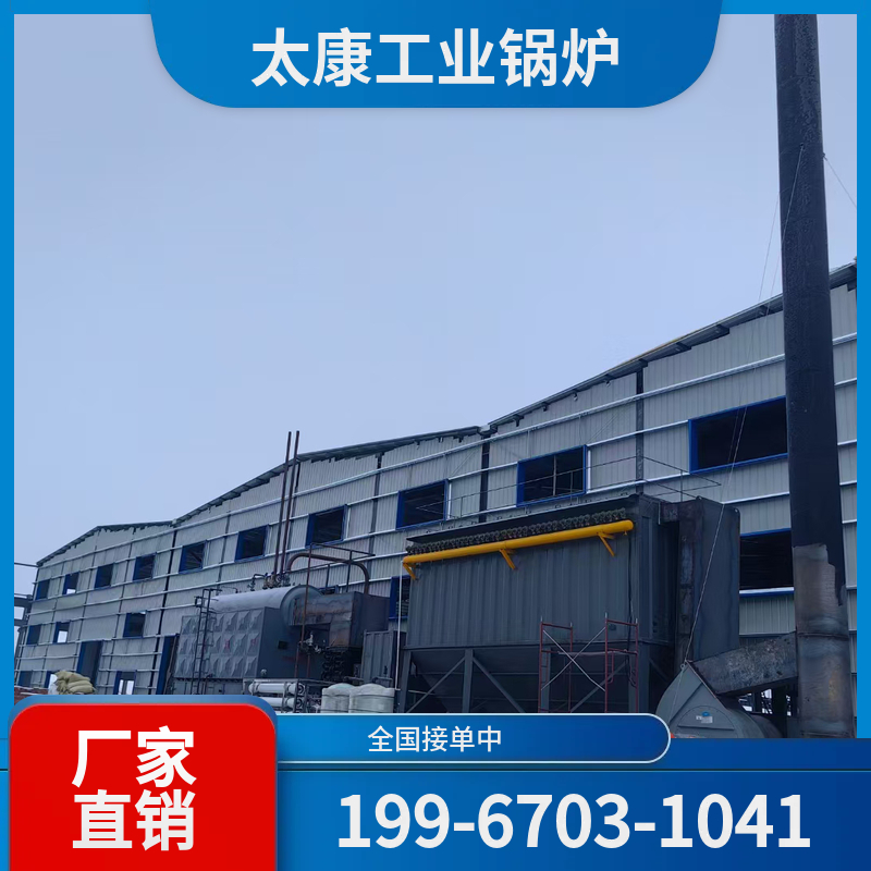 海东燃煤蒸汽锅炉